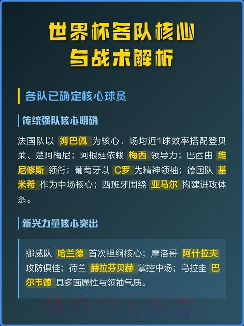 全面解析世界杯球队资料与战术分析